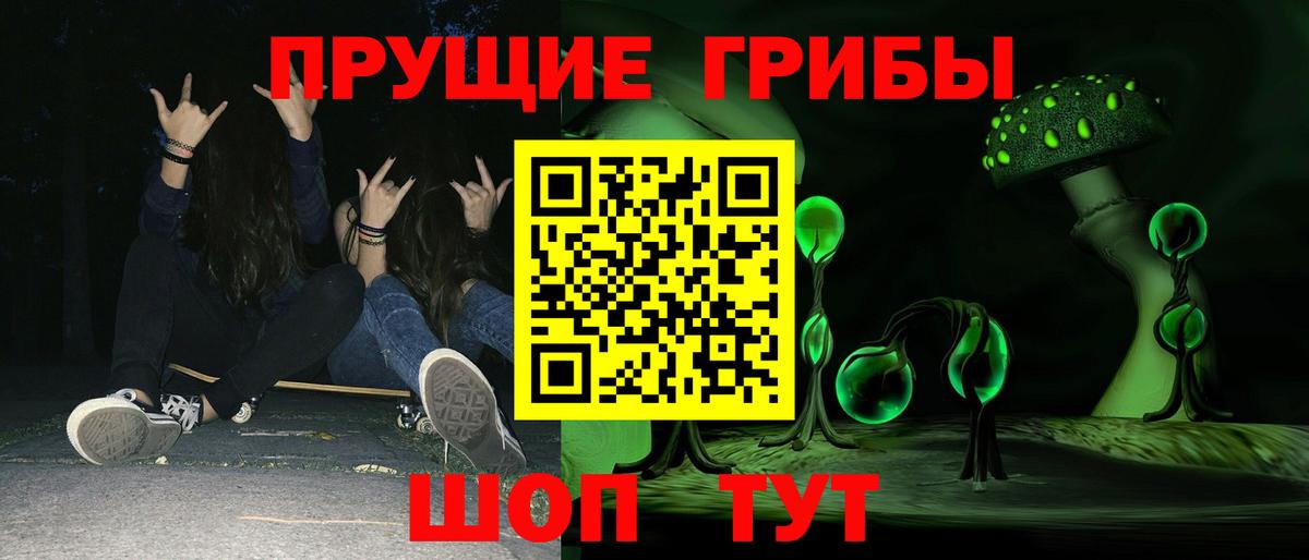Псилоцибиновые грибы Cubensis Губкин