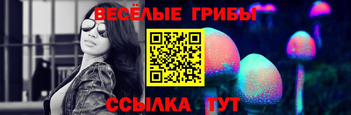 Галлюциногенные грибы Psilocybine cubensis  наркота  Губкин  Псилоцибиновые грибы Magic Shrooms  Вход с VPN 